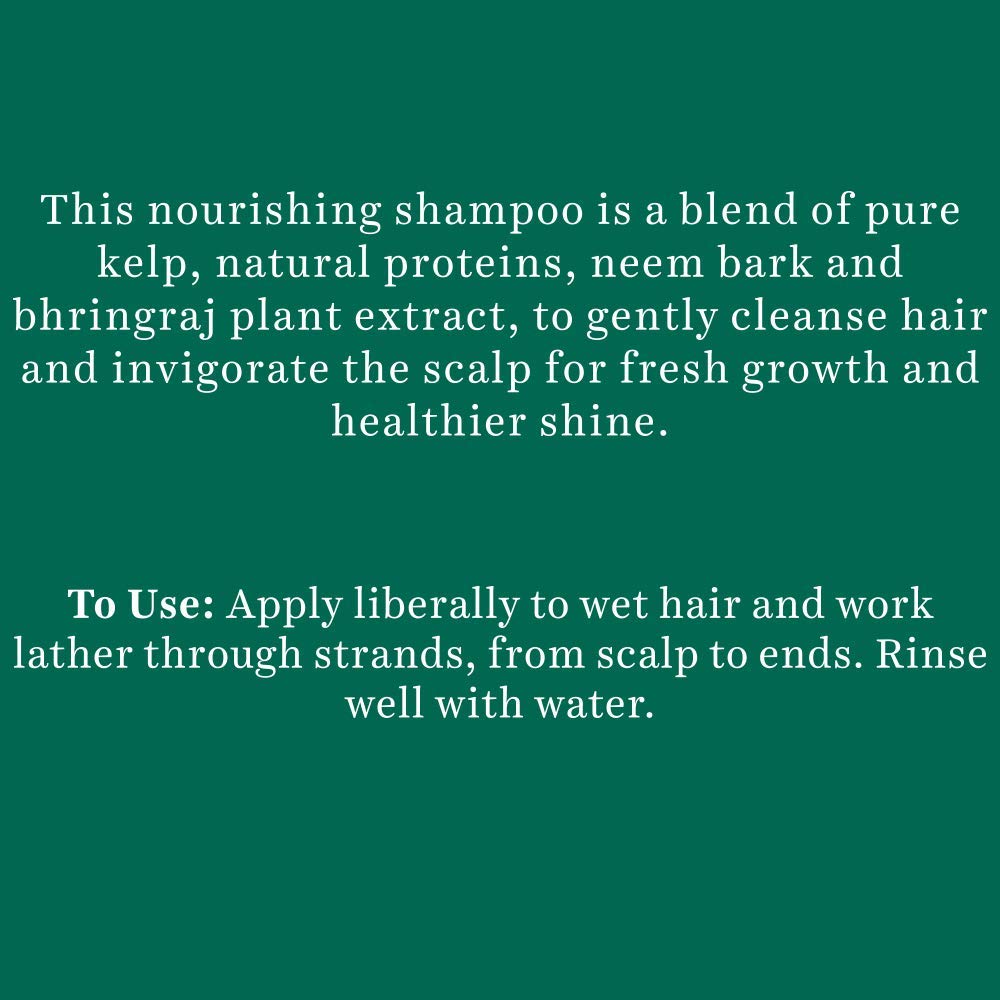 Biotique Ocean Kelp Anti Hair Fall Shampoo 650 ml